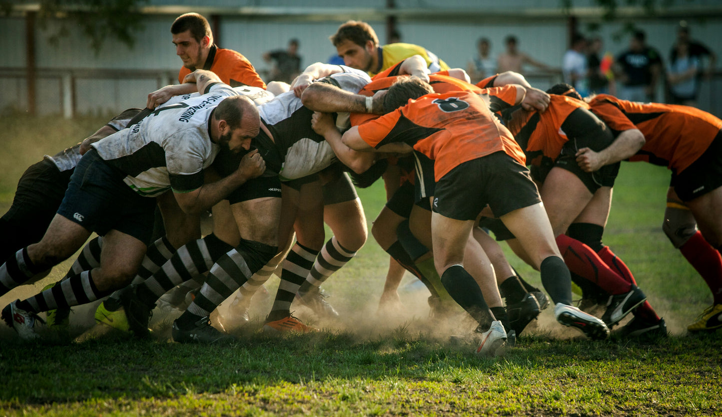 World of Rugby League [without Playing Cards]